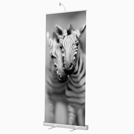 Roll Up Display – Zebra-Motiv