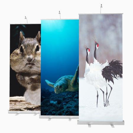 Roll Up Displays – drei Banner